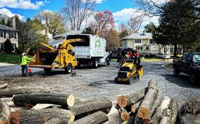 Best Firewood Processing and Delivery  in Scott City, KS