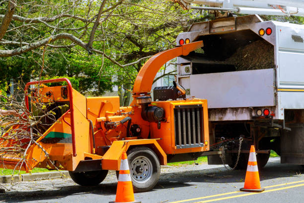 Best Tree Risk Assessment  in Scott City, KS